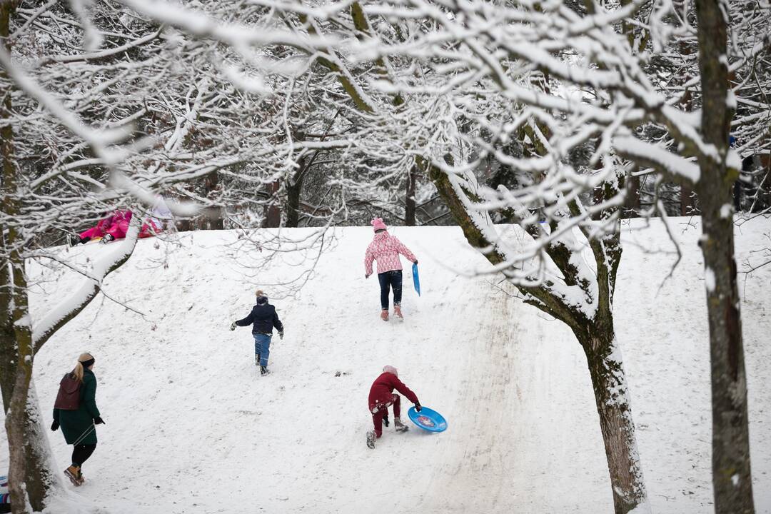 Su rogėmis ir čiuožynėmis kauniečiai šturmavo parkus ir miškus
