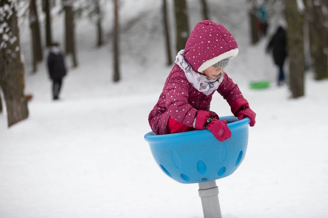 Su rogėmis ir čiuožynėmis kauniečiai šturmavo parkus ir miškus