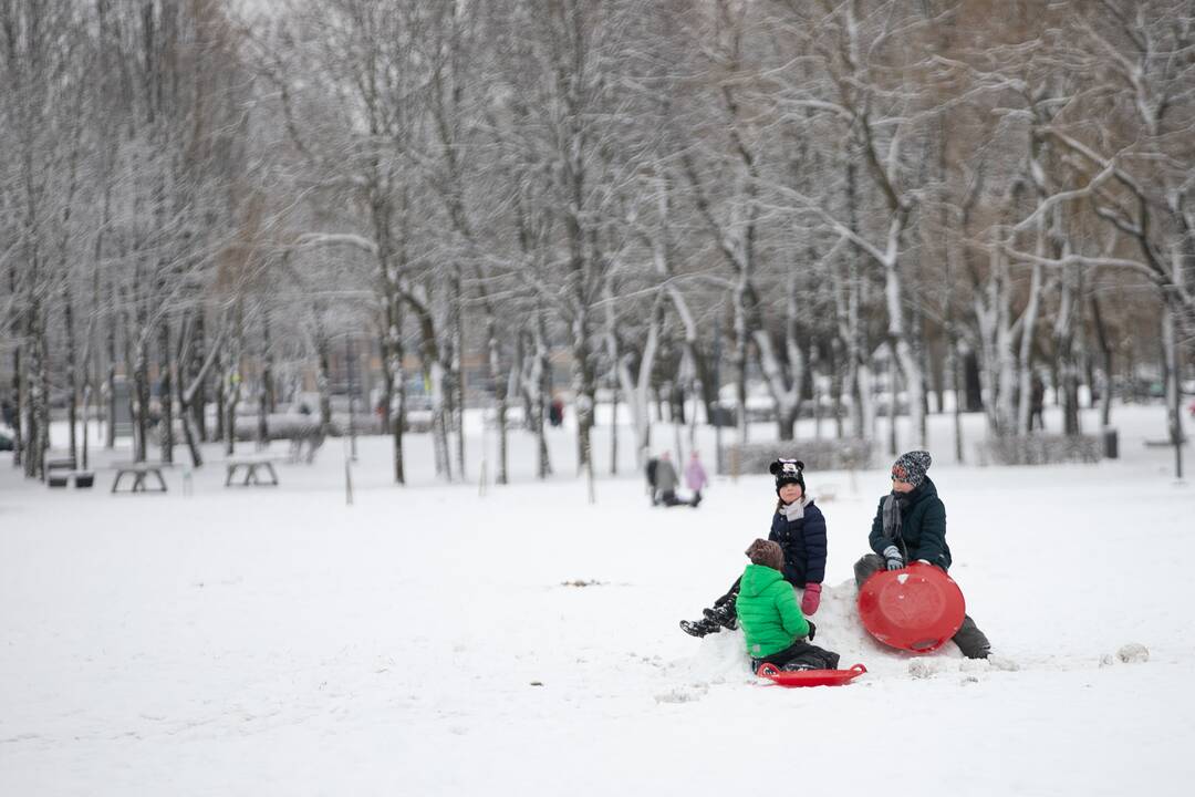 Su rogėmis ir čiuožynėmis kauniečiai šturmavo parkus ir miškus
