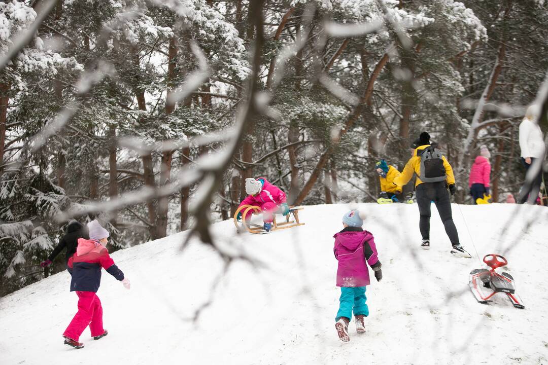 Su rogėmis ir čiuožynėmis kauniečiai šturmavo parkus ir miškus