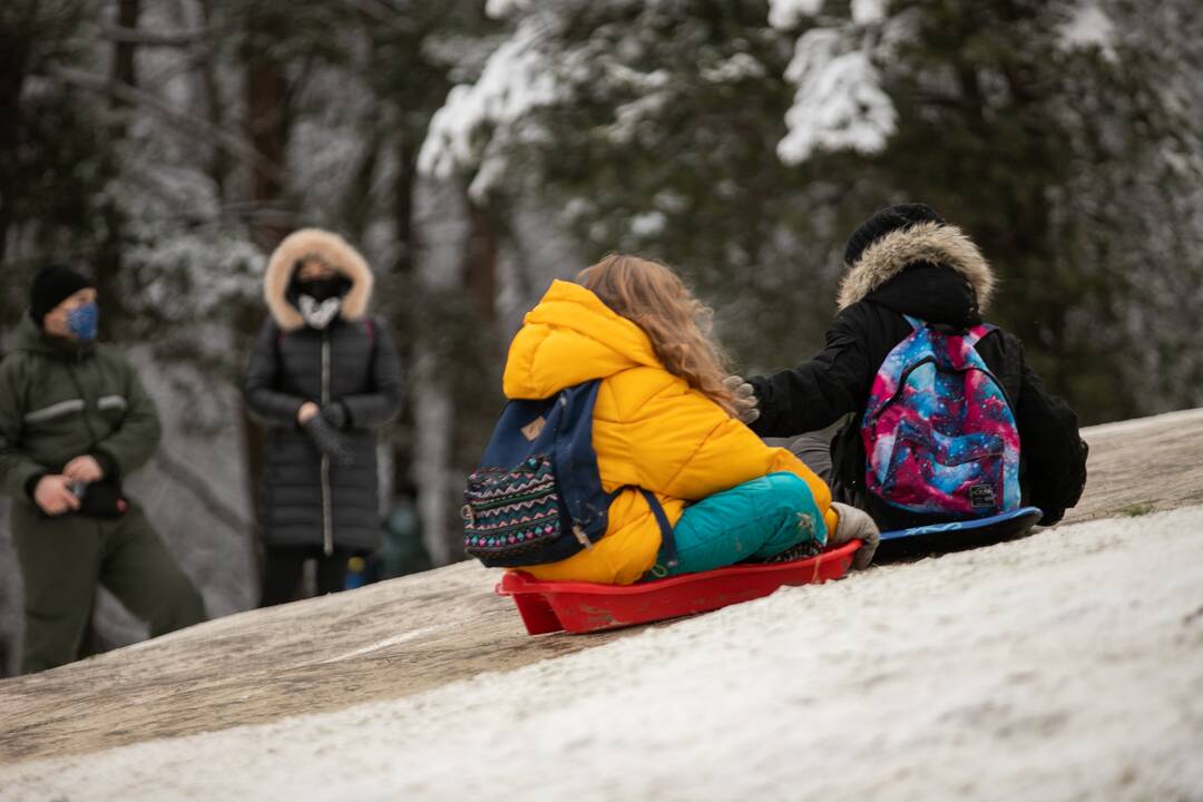 Policijos įspėjimų neišgirdo: kauniečiai ir vėl pabiro po parkus ir miškus