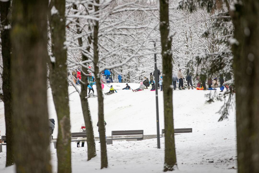 Policijos įspėjimų neišgirdo: kauniečiai ir vėl pabiro po parkus ir miškus