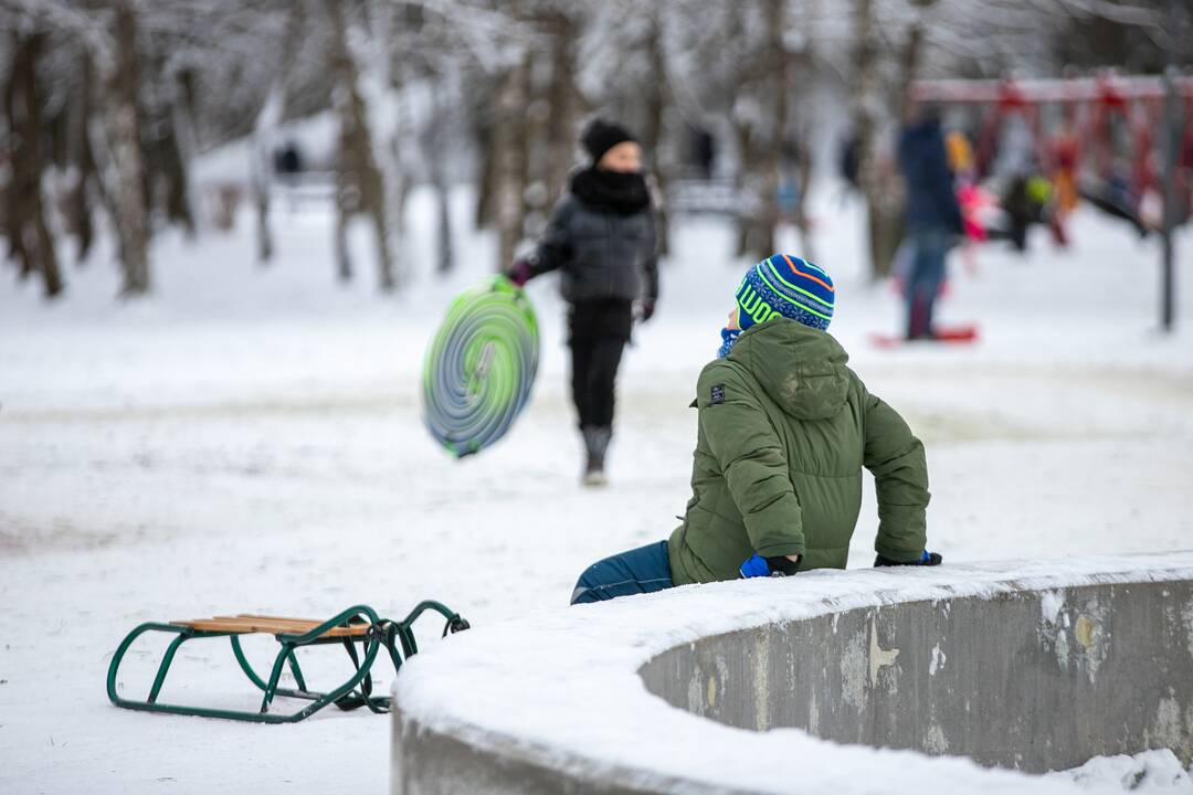 Policijos įspėjimų neišgirdo: kauniečiai ir vėl pabiro po parkus ir miškus