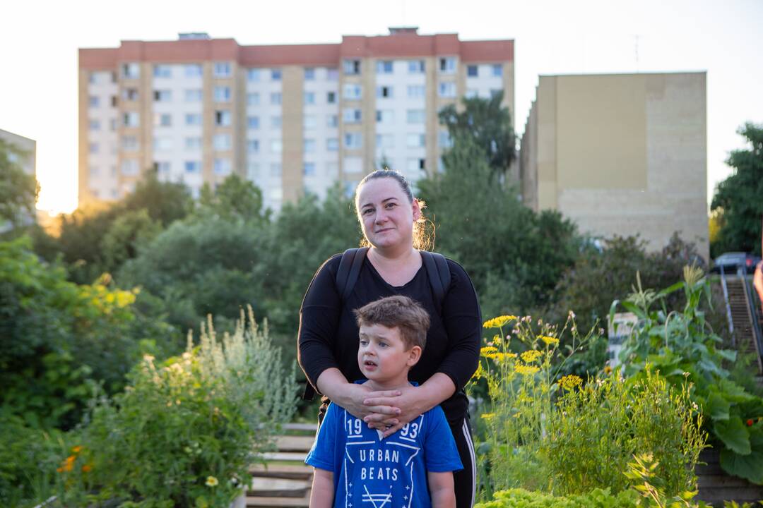 Drugelių paieškos Šilainiuose