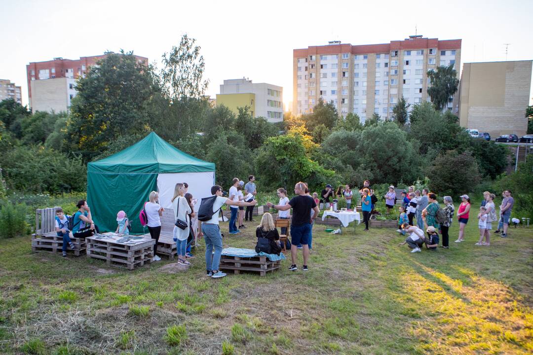 Drugelių paieškos Šilainiuose