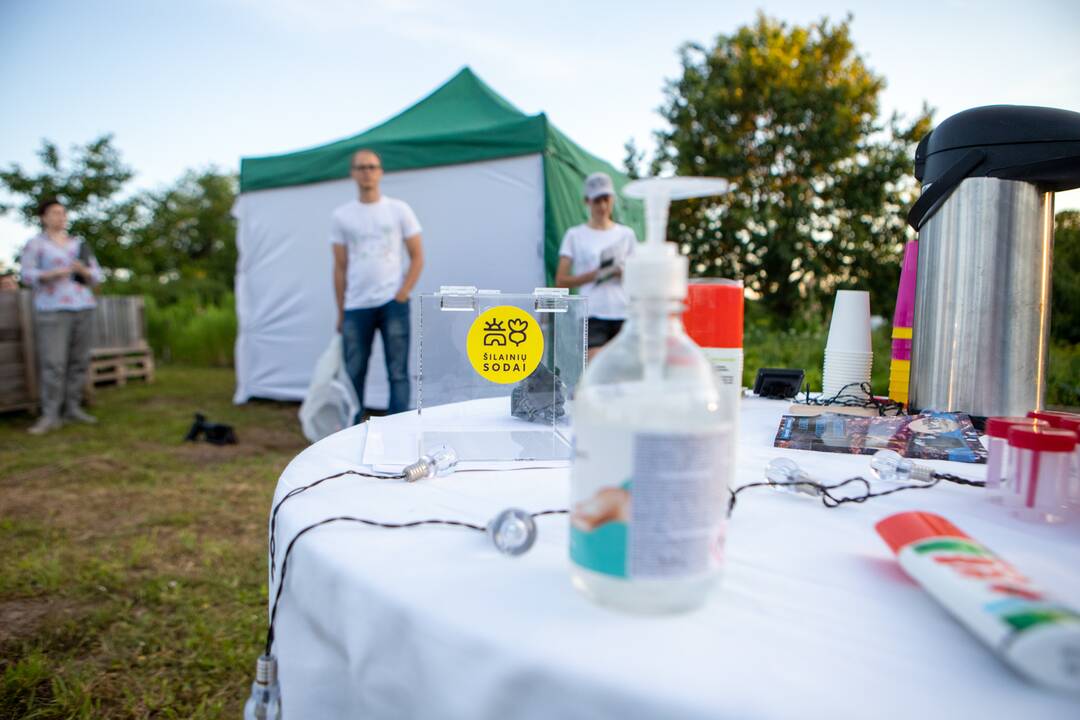 Drugelių paieškos Šilainiuose