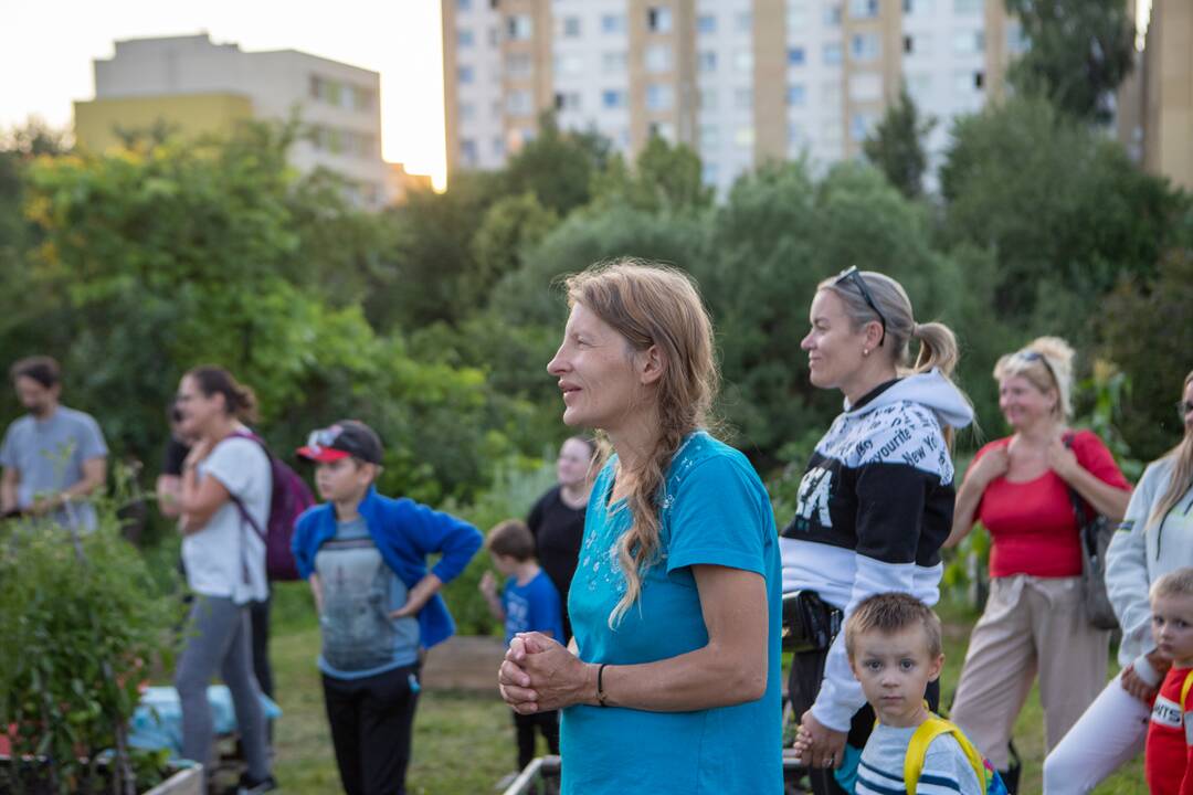 Drugelių paieškos Šilainiuose