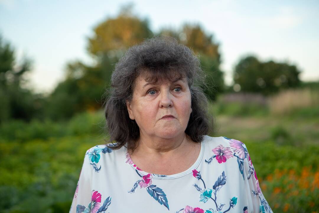 Drugelių paieškos Šilainiuose