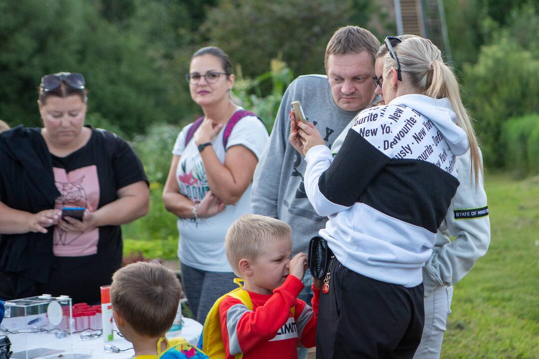 Drugelių paieškos Šilainiuose