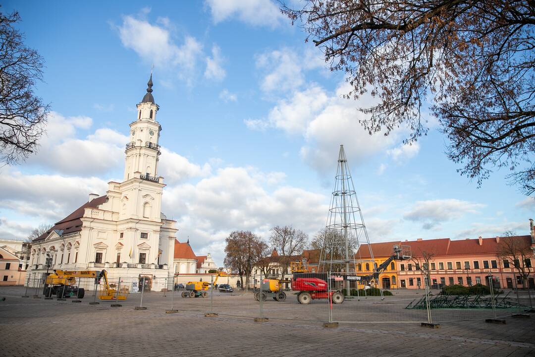 Rotušės aikštėje ryškėja kalėdinės Kauno eglės kontūrai