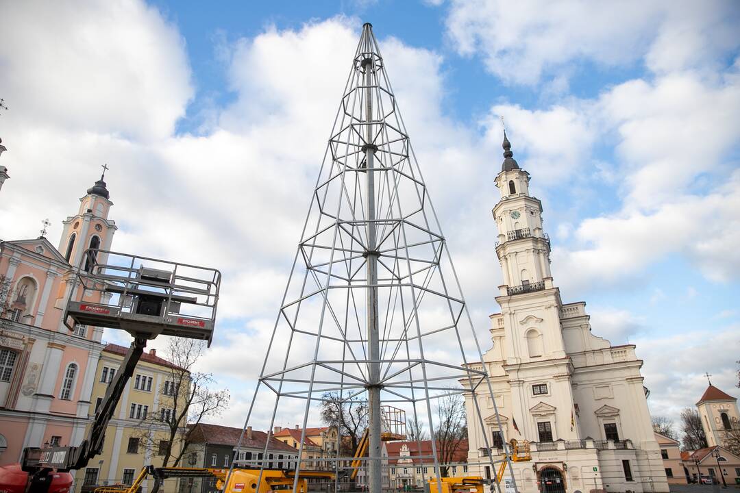 Rotušės aikštėje ryškėja kalėdinės Kauno eglės kontūrai