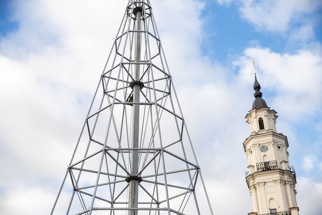 Rotušės aikštėje ryškėja kalėdinės Kauno eglės kontūrai