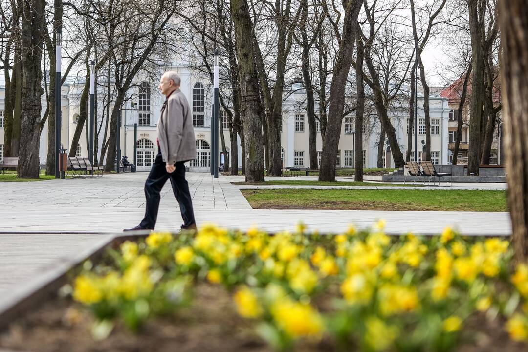 Kauniečiai džiaugiasi atėjusiu pavasariu