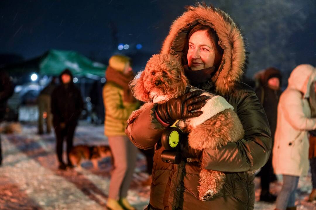 Laisvės laužai prie Kauno pilies