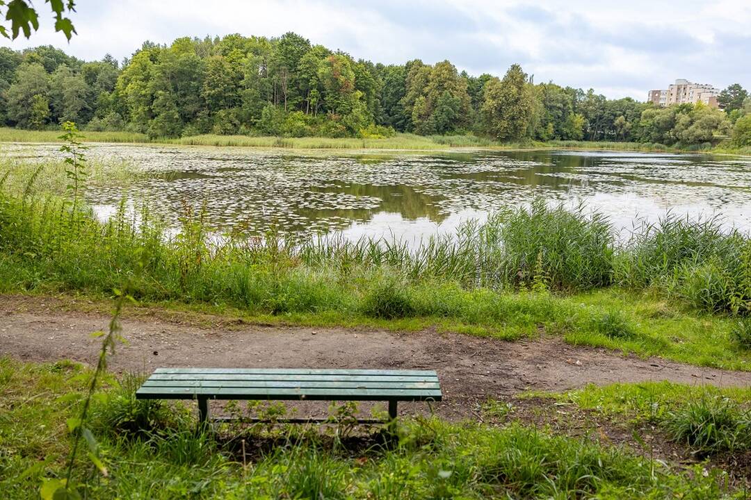 Jeruzalės tvenkinio parkas.