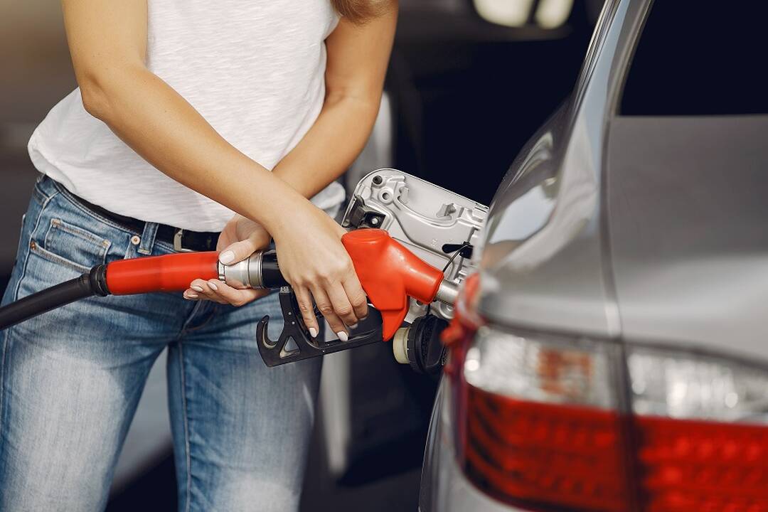 LEA paskaičiavo, kiek praėjusią savaitę pigo energijos ištekliai