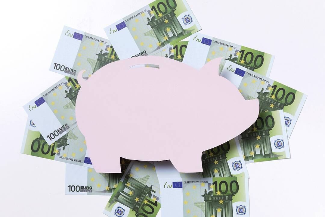 Šimkus: gyventojų indėlių įdarbinimas – alternatyva