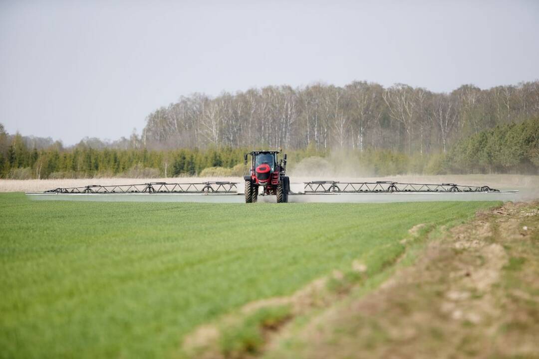 Bearimė žemdirbystė UAB „Krekenava“ ūkyje skaičiuoja jau dvidešimtus metus.