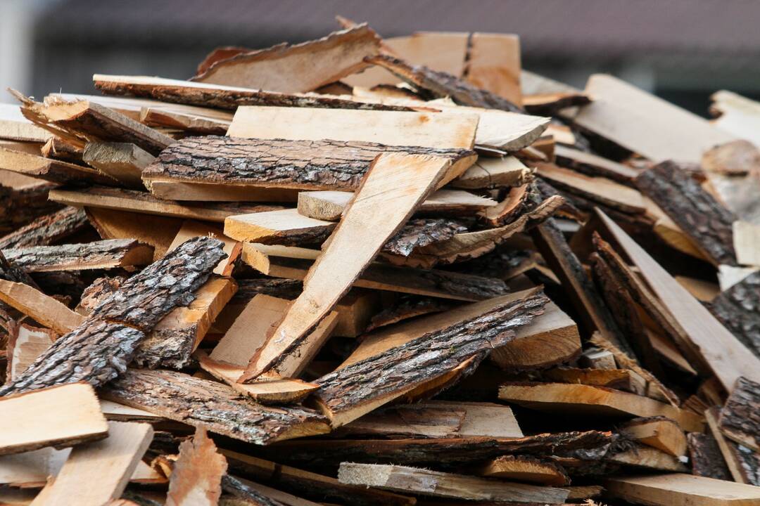 Biomasės energetikos asociacija: biokuro žaliavos yra pakankamai