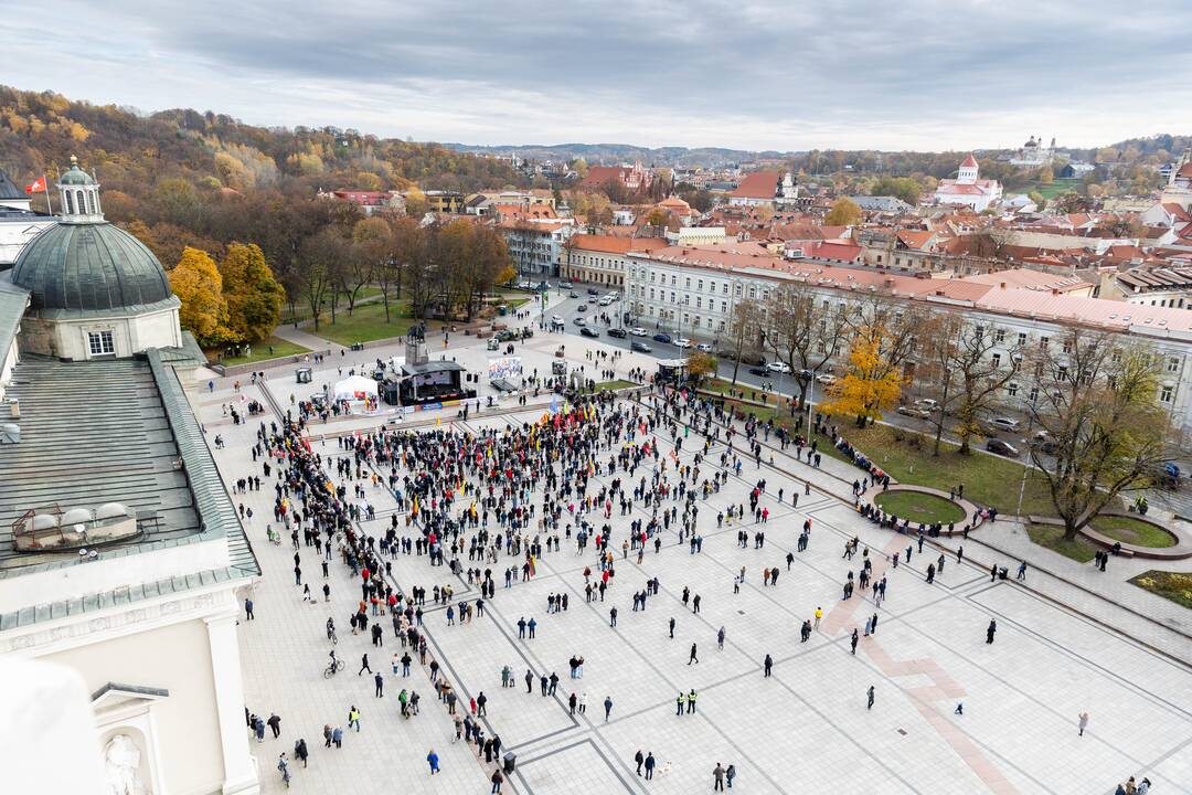 Lietuvos šeimų sąjūdžio mitingas