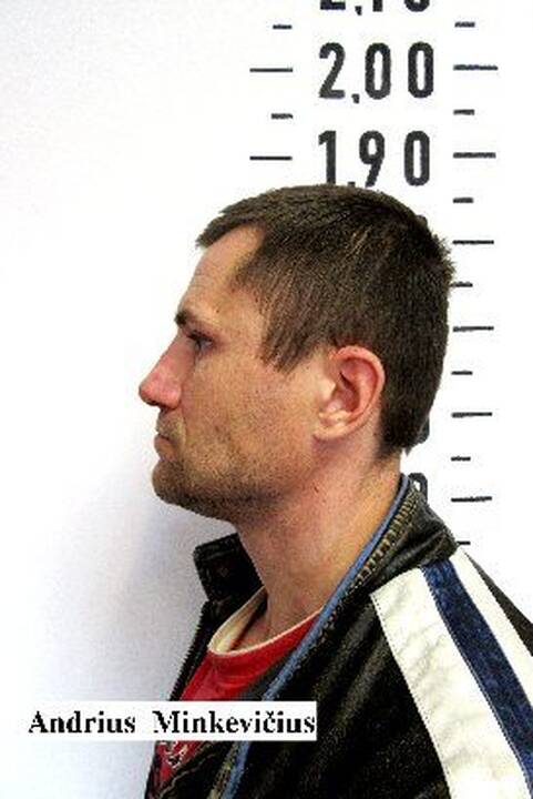 Andrius Minkevičius