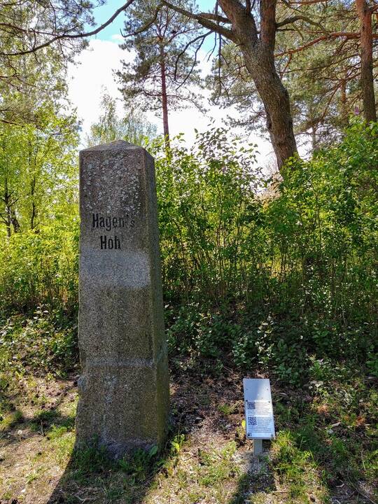 Pradininkas: Smiltynės pajūrio kopų apželdinimo pagrindus daugiau kaip prieš 150 metų pasiūlė F.L.Hagenas.