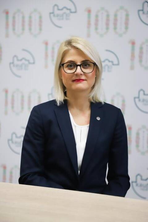 Aprėptis: Raudondvario kaimas apima ne tik pasagos formą primenančią Žalgirio gatvę, bet ir į ją įsiliejančias mažesnes gatveles.