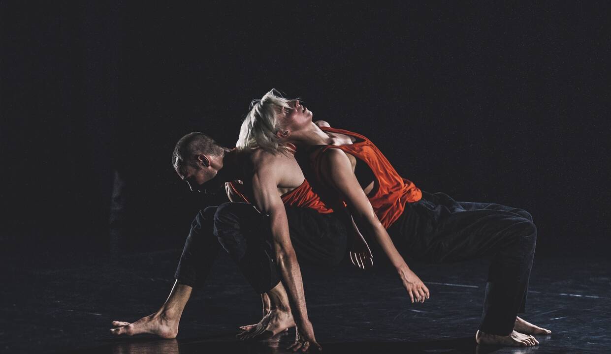 Programa: projekto žiūrovai išvys ir puikių įvertinimų sulaukusį Šeiko šokio teatro spektaklį "Aside".
