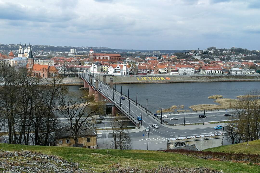 Gintautas Labanauskas