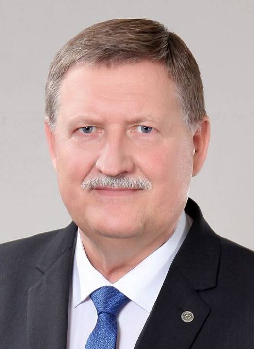 Aprėptis: Raudondvario kaimas apima ne tik pasagos formą primenančią Žalgirio gatvę, bet ir į ją įsiliejančias mažesnes gatveles.