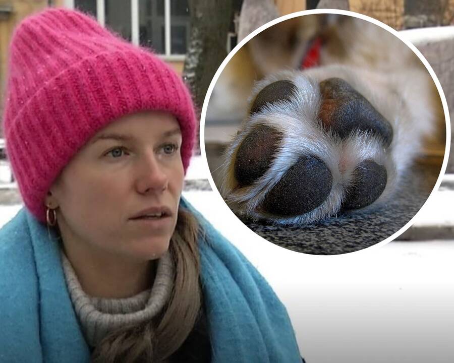 Neringa Rekašiūtė