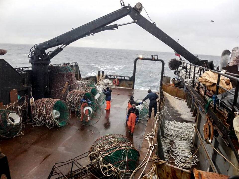 Verslas: "Arctic Fishing" žvejai Barenco jūroje gaudė krabus.