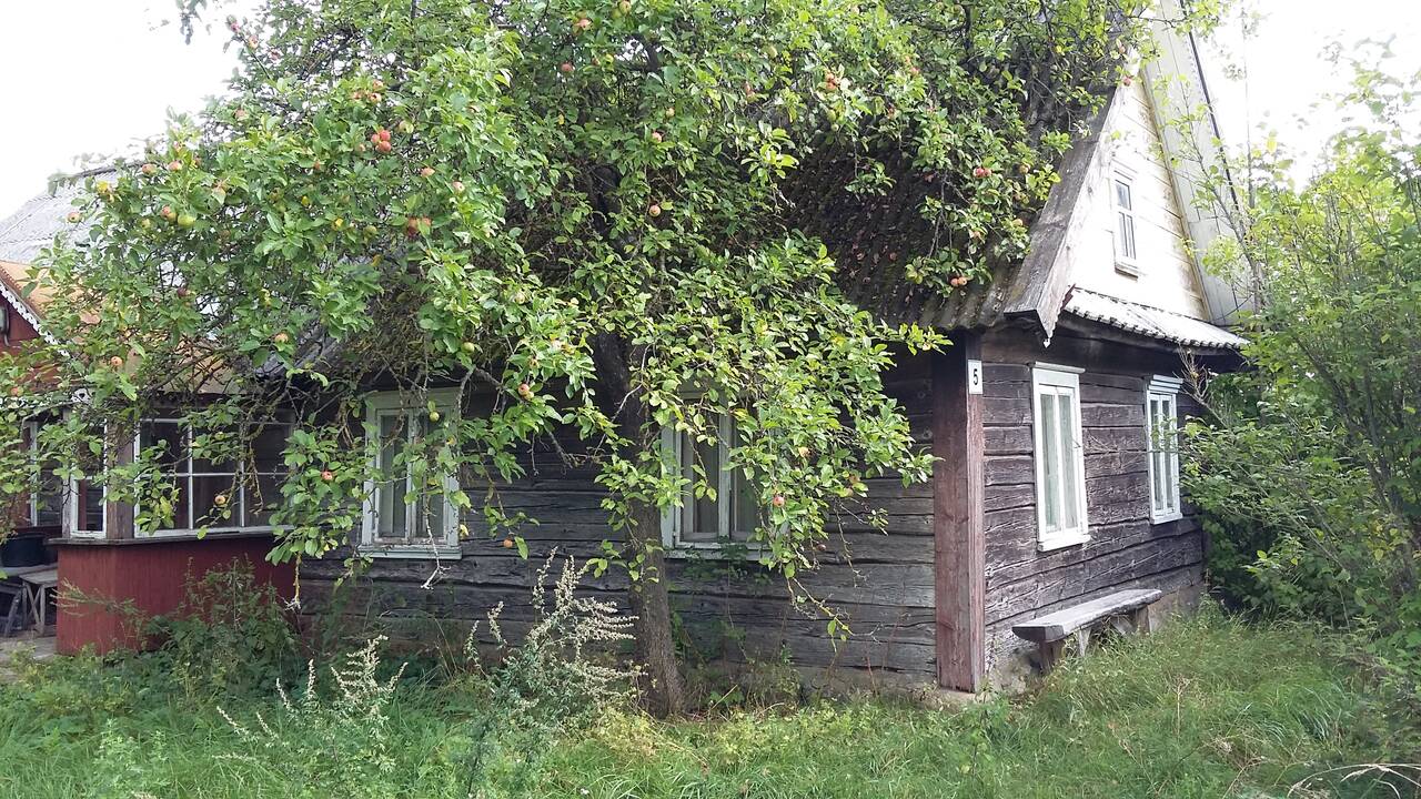 Žingsnis: miestietišką gyvenimą išmainę į vienkiemį gamtos apsuptyje Samsonai sako, kad dabar jaučia daugiau laisvės.