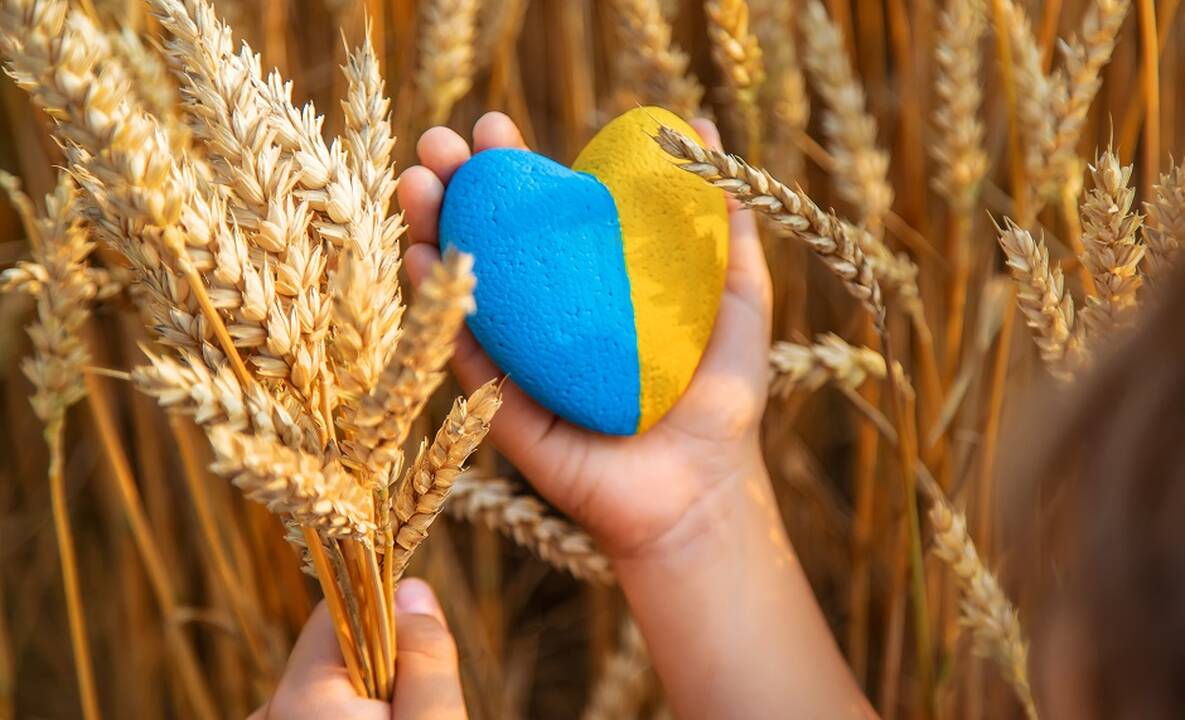 Kremlius: Baltijos šalys turi teisę naudotis savo uostais Ukrainos grūdams eksportuoti