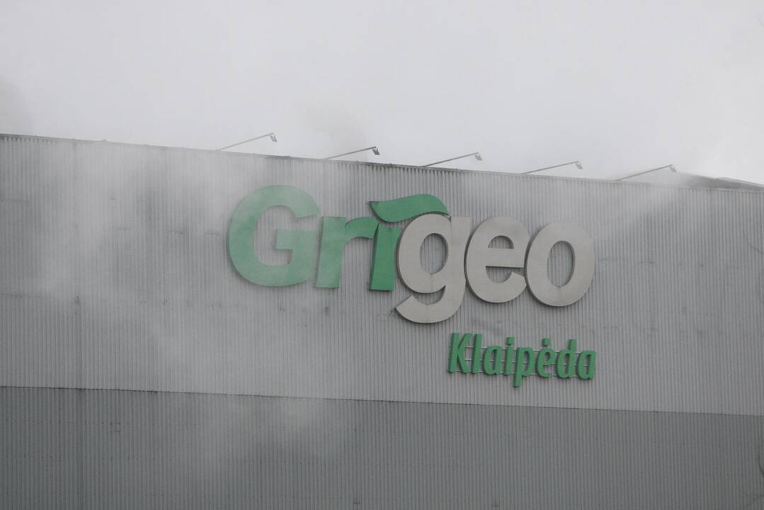 Išaiškėjo smarvės Klaipėdoje kaltininkai: bendrovei gresia milijoninės baudos