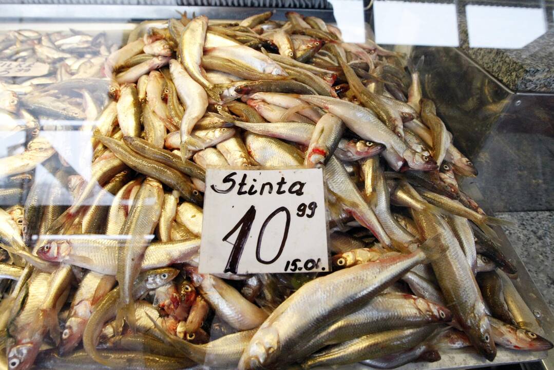 Pokyčiai: 2013 m. sausio 11 dieną turgavietėje stintos kainavo nuo 10 iki 11 litų už kilogramą –  tai tuomet buvo laikoma itin aukšta kaina.