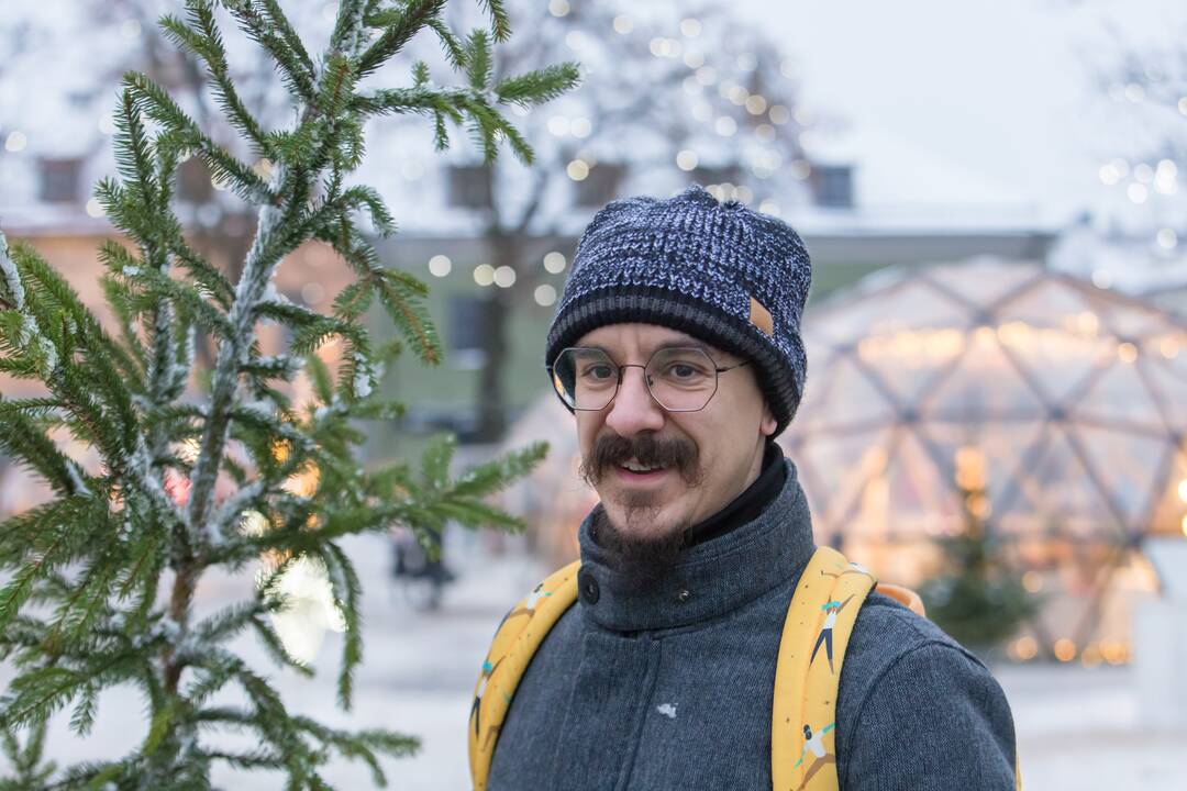 Kaune dalijamos eglės šakos