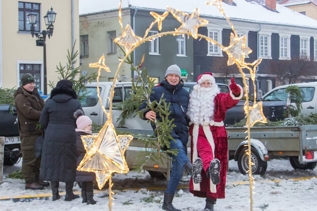 Kaune dalijamos eglės šakos