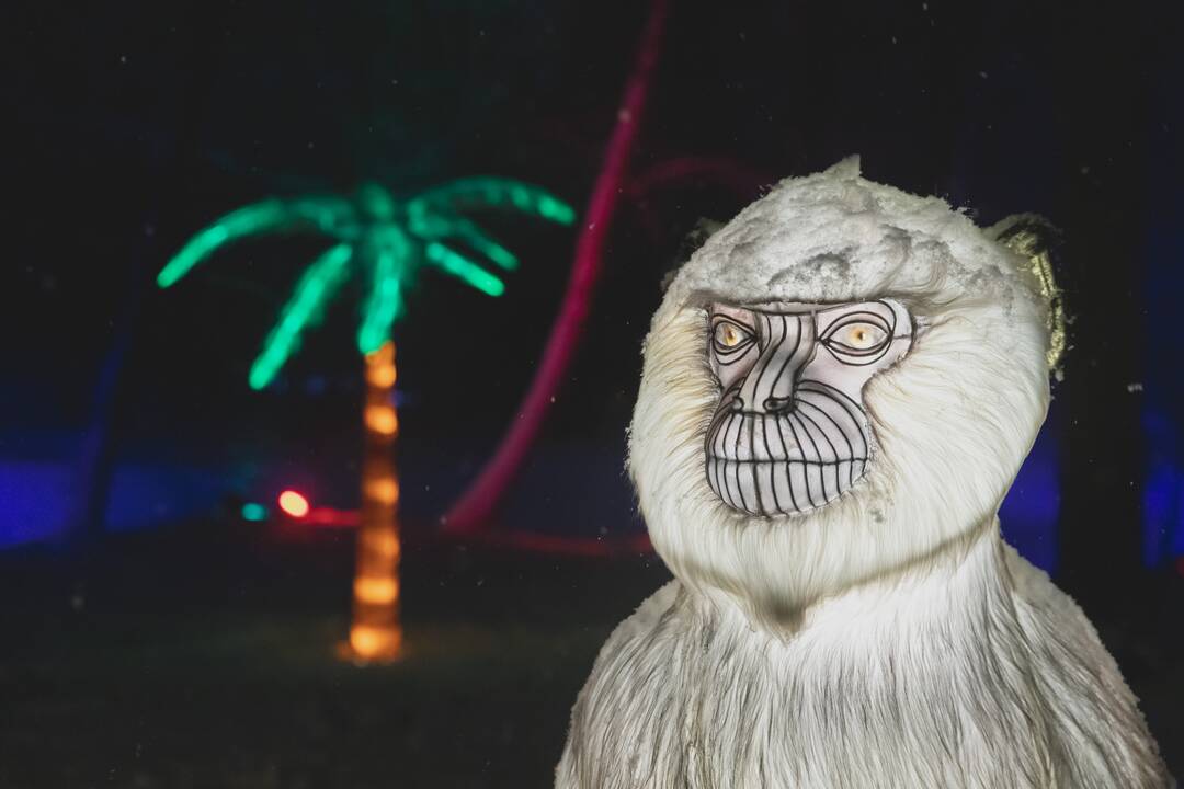 Šviesų festivalis botanikos sode