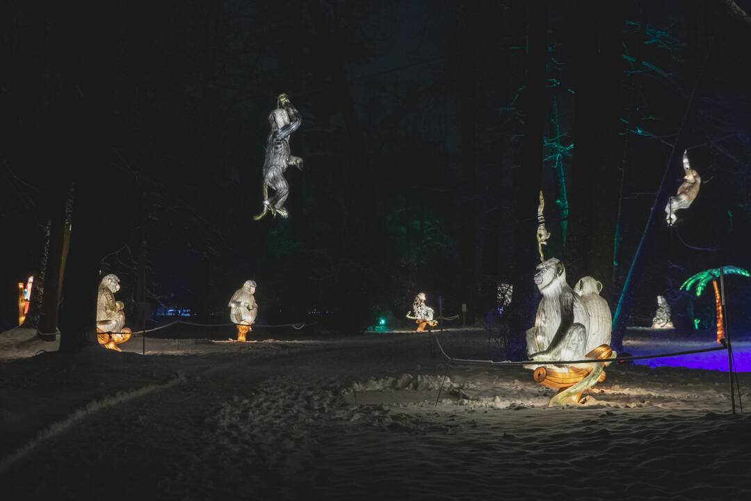 Šviesų festivalis botanikos sode