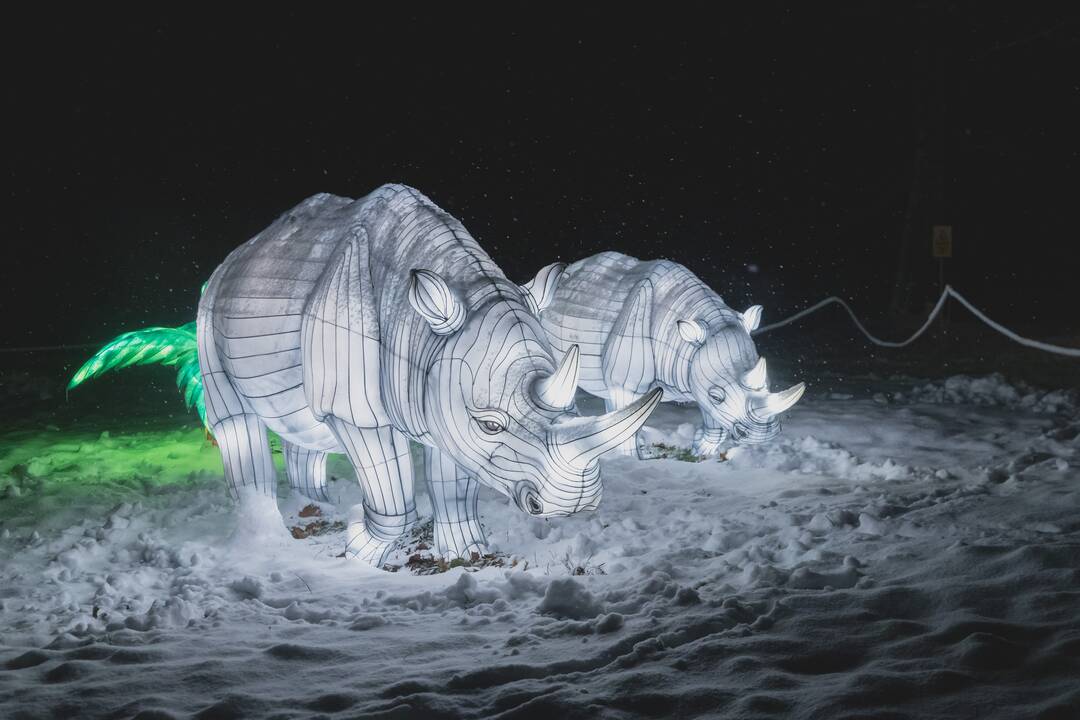 Šviesų festivalis botanikos sode
