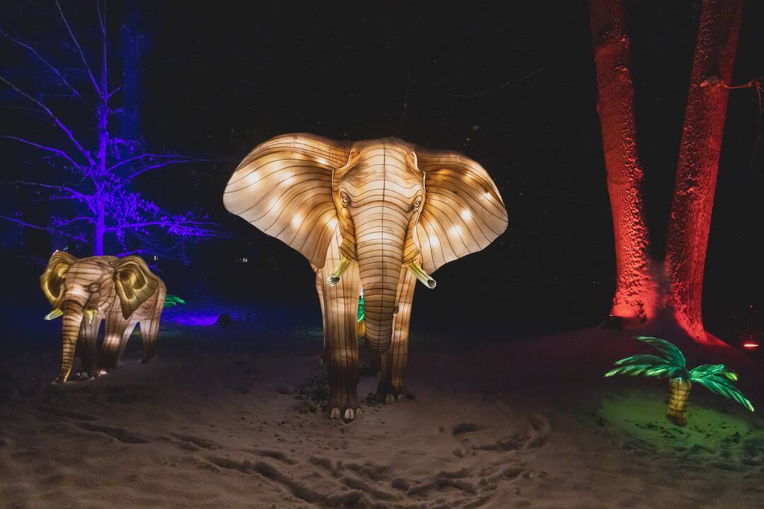 Šviesų festivalis botanikos sode