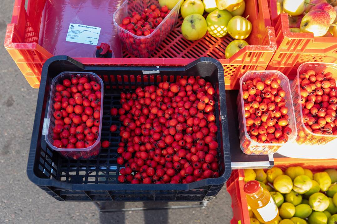Kauniečiai turguose ieško vitaminų šaltajam sezonui