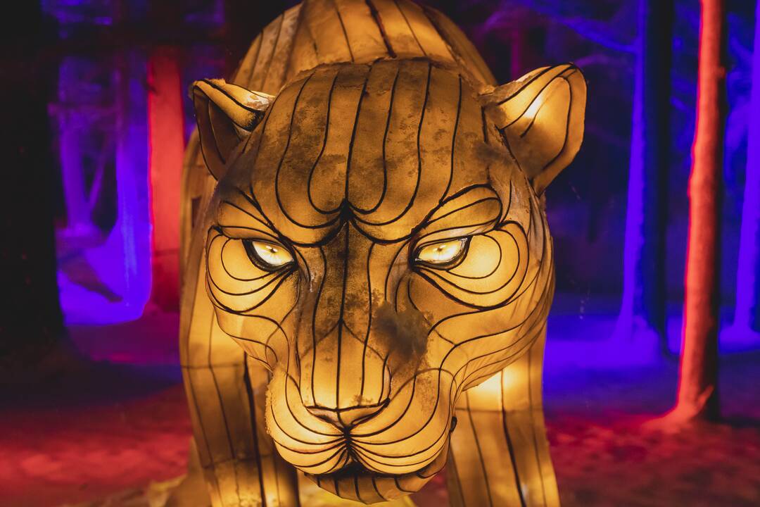 Šviesų festivalis botanikos sode