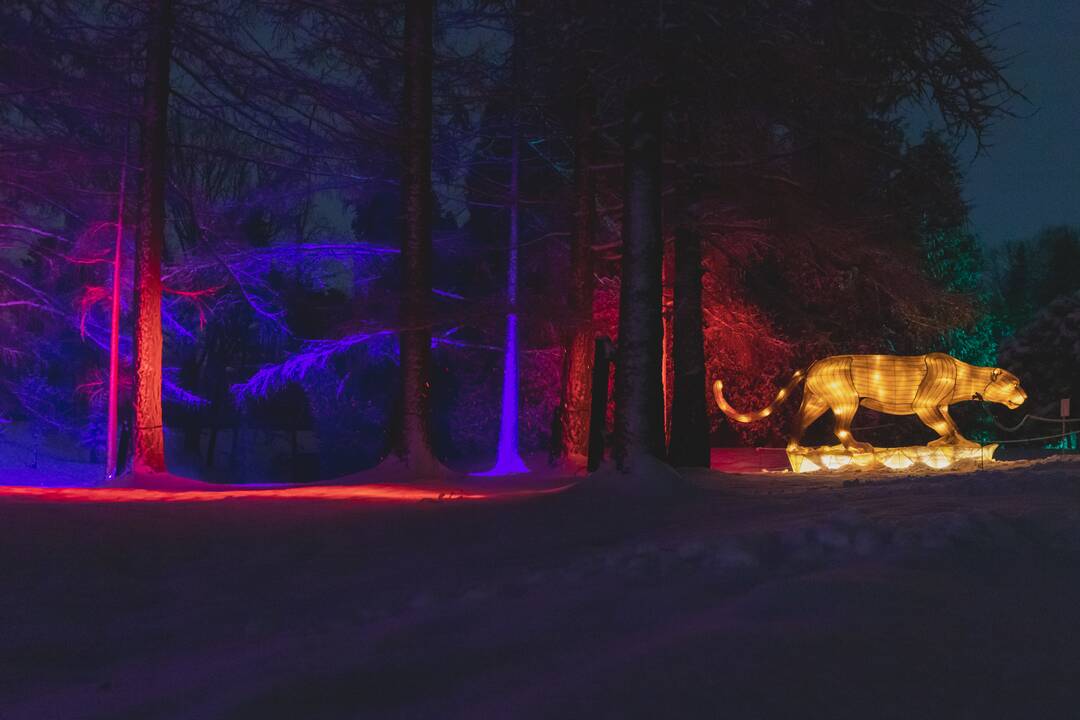 Šviesų festivalis botanikos sode