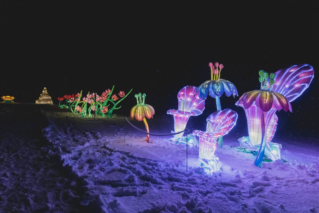 Šviesų festivalis botanikos sode