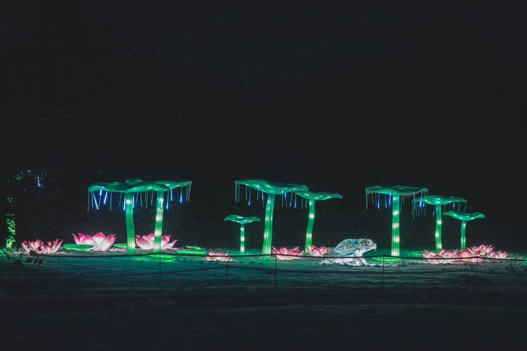 Šviesų festivalis botanikos sode