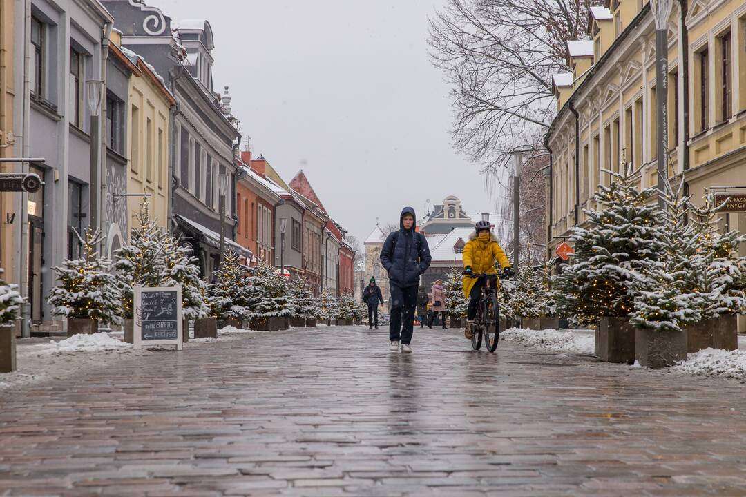 Vilniaus gatvės darbai