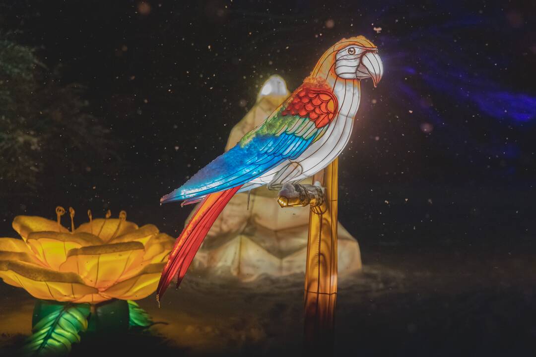 Šviesų festivalis botanikos sode