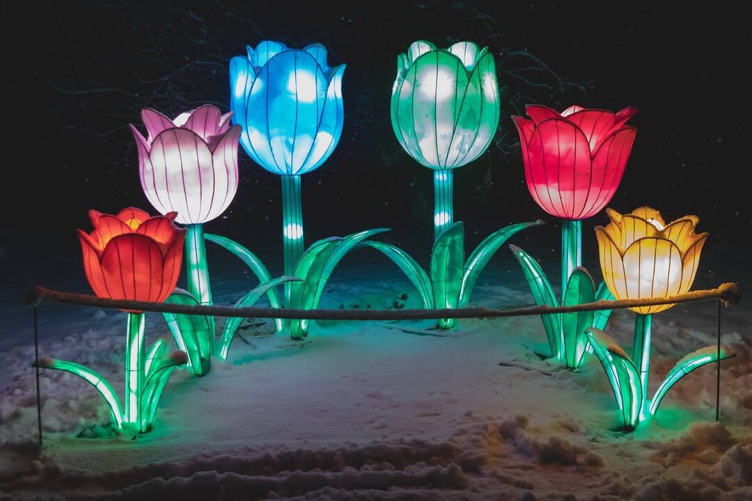 Šviesų festivalis botanikos sode